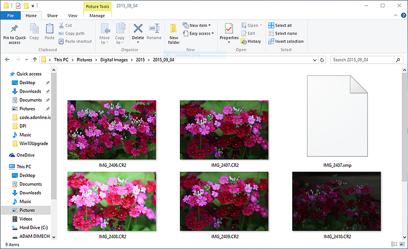 Screen capture of Windows 10 picture viewer.
